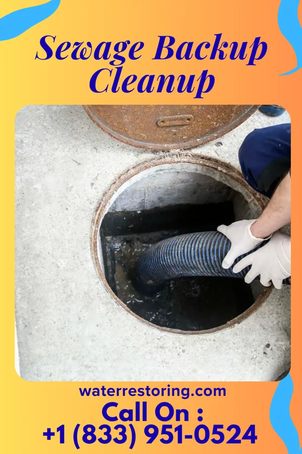 Sewage Backup Cleanup in Bartonville, IL