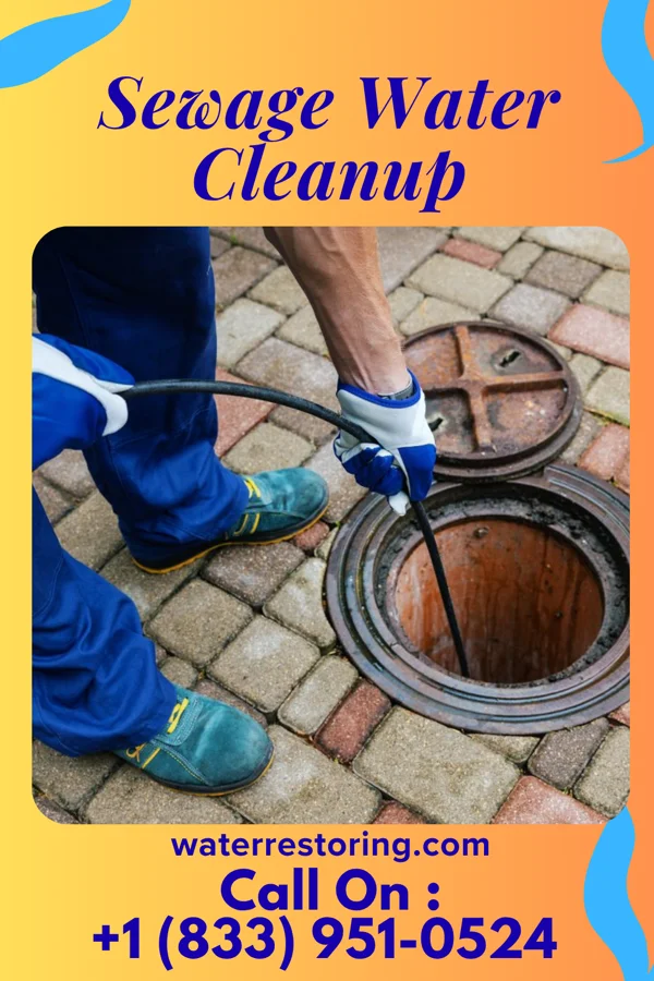 Sewage Water Cleanup in Bartonville, IL