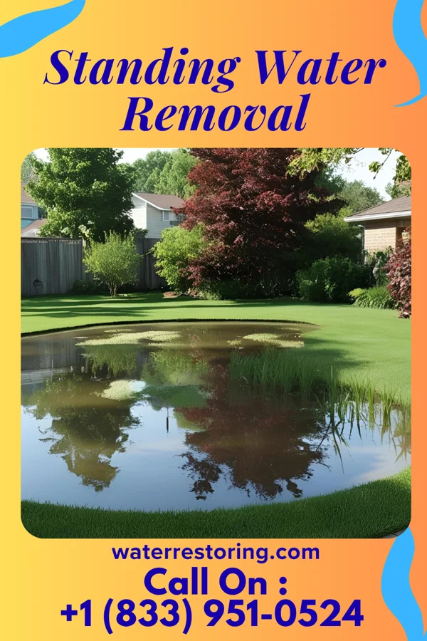 Standing Water Removal in Bartonville, IL